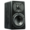 GŁOŚNIK SURROUND SVS Prime Satellite